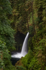 Oregon Metlako Falls.jpg